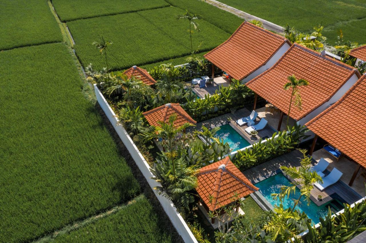 Sawah Villas ウブド エクステリア 写真