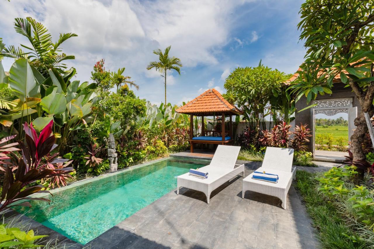 Sawah Villas ウブド エクステリア 写真